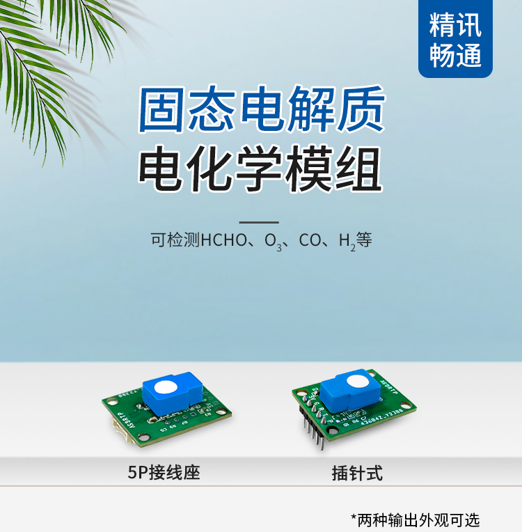 氫氣固態(tài)電解質(zhì)電化學(xué)傳感器
